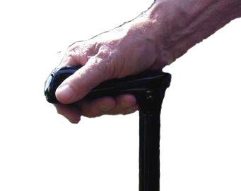 Handle forward grip 2b